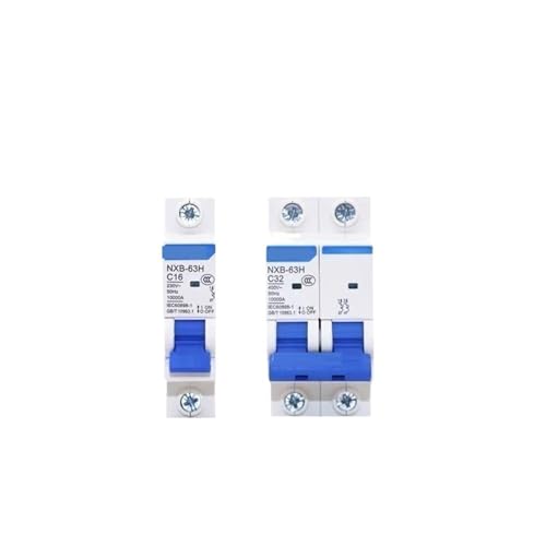 Disjoncteur 10KA haute performance NXB-63H 2P 63A pour éviter les surcharges