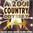 2001 Country Odyssey