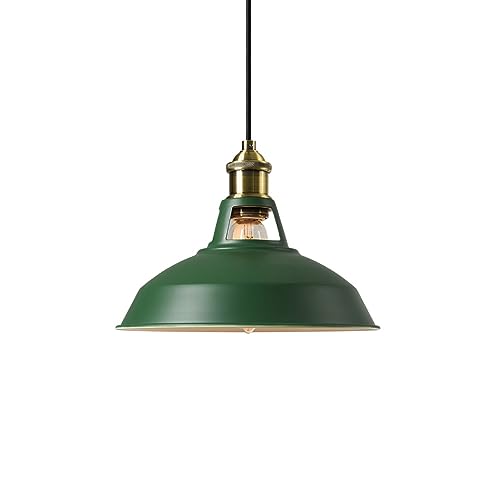 Lampe suspendue E27 en fer forgé noir style industriel pour salle de réunion