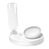 Hemoton Pet Slow Feeder Bowl -tip and Cats Feeding Container for Food and Water Easy to White Color for Puppies and Kittens