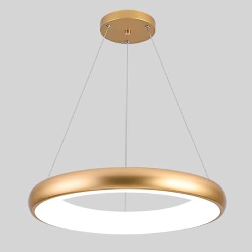 Lustre créatif anneau suspendu pour en finir avec les salons sombres