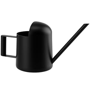 CHUEHKAK Watering Can, mini-gieter voor kamerplanten, roestvrijstalen gieter met lange hals, metaal, kamergieter, voor potplanten en hangplanten, zwart