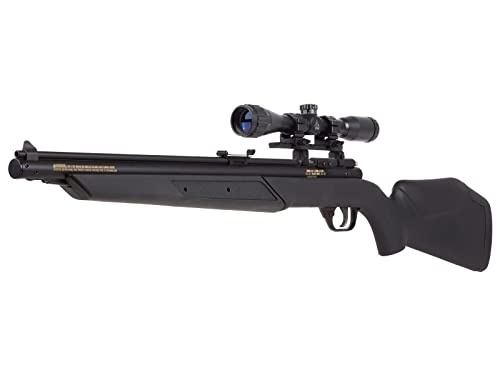 Benjamin Multi-Pump Air Rifle, Black Kit air Rifle 