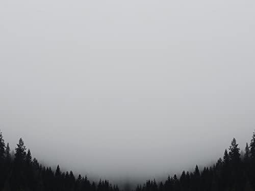 Oli Brown & The Dead Collective