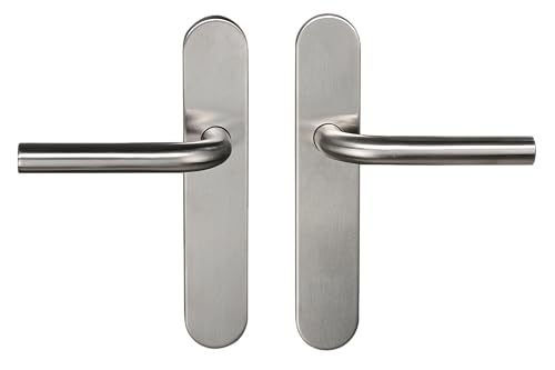 Bricard 666459 Ensemble poignées INOX sur Plaque Tempo New Wave pour Porte intérieure sans clé (Bec de Cane)