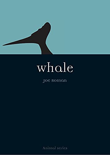 Whale view 2