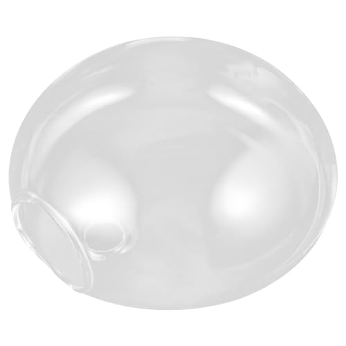 EPIGEIST Jarrón Hidropónico de Pared Transparente para Plantas Florero Colgante de Vidrio para Decoración de de Espacio para Suculentas y Plantas Pequeñas