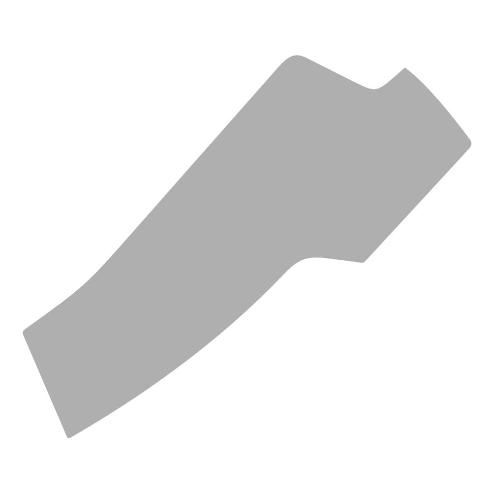 Vicrez Paint Protection PPF Pre-Cut Mirror, Passenger vpp1667 Compatible with Ram 1500 Tradesman/Bighorn/Lonestar/Crew Cab 2019-2023