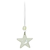 旭電機化成(Asahi Denki Kasei) 太陽や照明の光を吸収、暗くなったら発光する! スマイルキッズ ねながらひっぱりコード 星 AHS-001