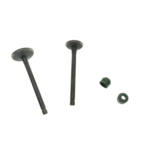 Válvula de admisión y escape con retén para reparar motor CT 110