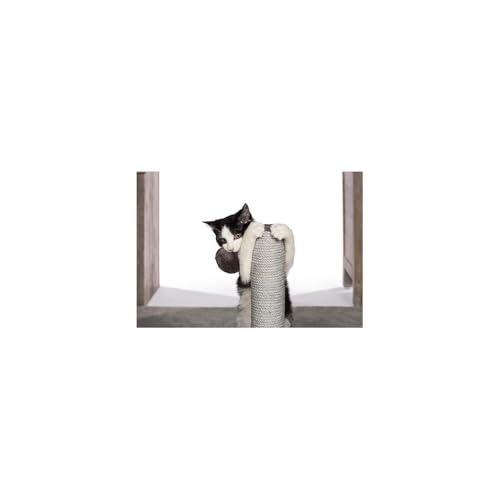 Rascador Moderno para Gatos HomeStock de Diseño Contemporáneo miniatura 7