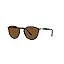 Havana/Brown Polarized