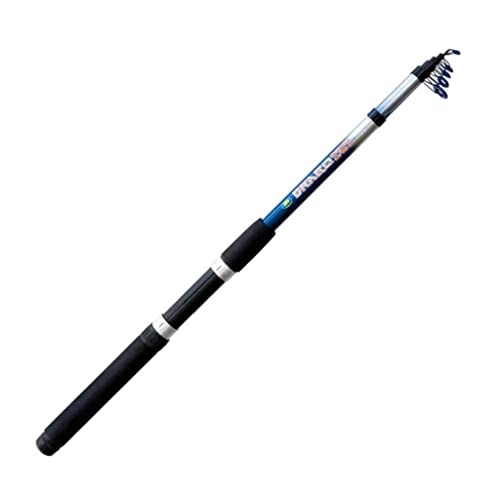 Caña de pescar Spinning Bolentino Bolognese Eging para trucha en lago con fondo flotante de ligera 20-60 g 1,2 m