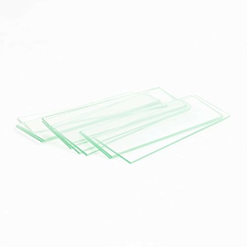 Image of AmScope BS-50P-100S-22 Pre-Cleaned Blank Ground Edge Glass Microscope Slides and 100pc Pre-Cleaned Square Glass Cover Slips Coverslips