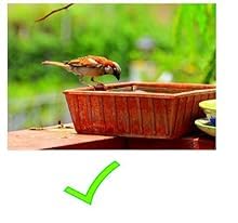 Image of Earthen Pot Terracotta Bird Bath,Square Shape Earth Brown