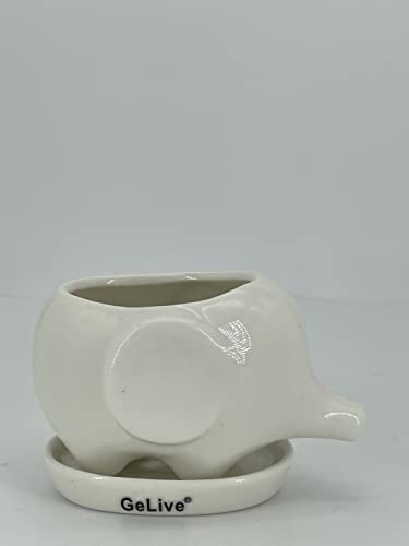 GeLive Elephant White Ceramic Succulent Planter Flower Pot Window Box with Saucer (Baby Elephant)