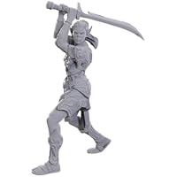 Wizkids - D&D Nolzurs Marvelous Miniatures: Special Edition