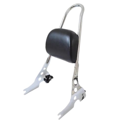 Dossier moto amovible Sportster pour des balades en duo en toute liberté