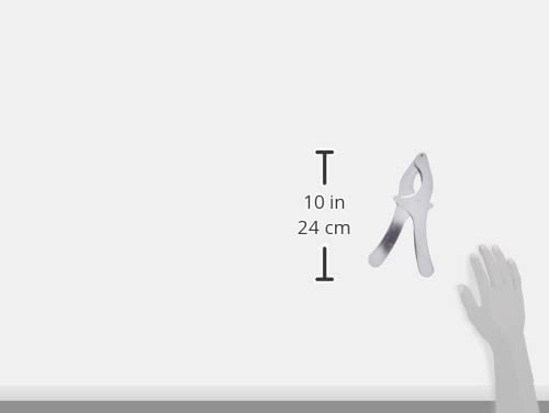 Jetter Seeigelöffner, 30 x 30 x 30 cm