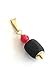 SIFRIMANIA Genuine Azabache Powerful Charm Protective Black Jet Stone Red Coral Pendant Authentic Amazonian Amulet for Chains or Bracelets (Adult Size 20mm x 10mm)