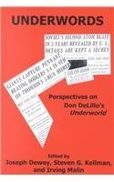 Hardcover Underwords: Perspectives on Don Delillo's Underworld Book