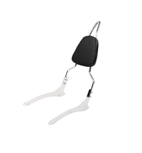 Coussin dossier moto ergonomique et support sissy bar rigide pour XVS 1100