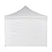 Caravan Canopy 10 x 10 Foot Commercial Tent Sidewalls (Sidewalls Only)