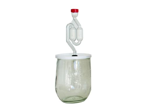 Fermentation set - Buttercreme/Buttermilch Buttercreme/Buttermilch