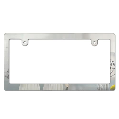 杉菜水姫 ナンバープレート フレーム ナンバーフレーム 普通車 軽自動車適用 装飾ボーダー タグ装飾 耐久性 カーアクセサリー 錆びにくい おしゃれ ?り物