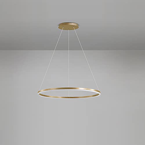 Mejores precios y opiniones de Lampara colgante circular Top cinco. 8 Imagen adicional