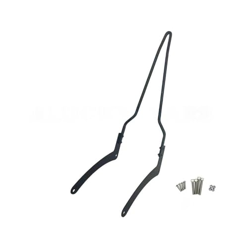 Dossier repose-passager vertical ergonomique Rebel 1100 CMX1100 noir