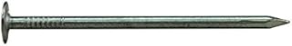 Pro-Fit 1-1/4 in. Roofing Electro-Galvanized Nail Large 1 lb.