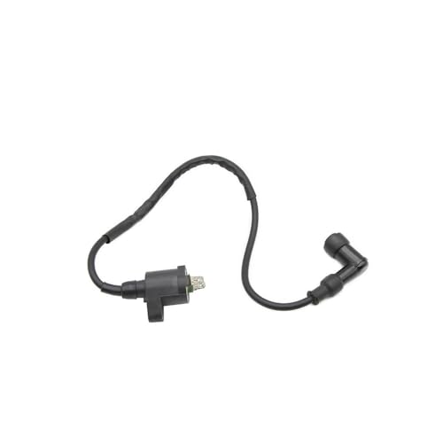 Bobina de encendido para moto DJ125: arranque suave y estable 4