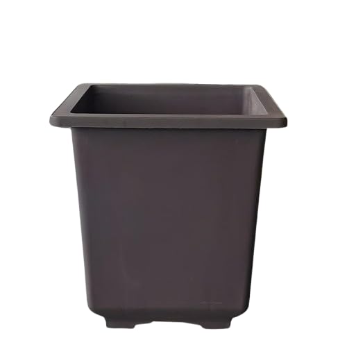 GREEN PARADISE® Premium Tall Square Bonsai Training Plastic Pot – Ideal for Indoor, Outdoor, Bonsai & Decorative Plants, Durable, Lightweight & UV-Proof (3, 16 CM)-image-26