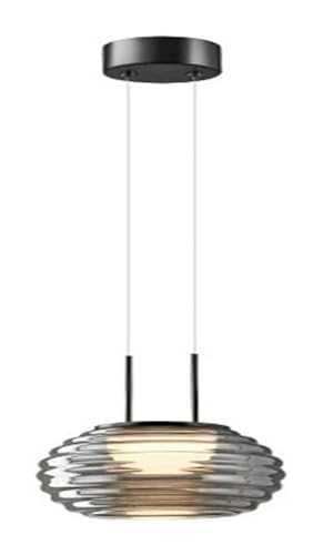 Chliers 13W LED Small Ceiling Light with Smoky Gray Shade,