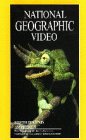Reptilien und Amphibien [VHS]