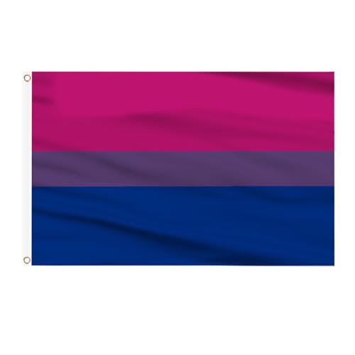 AhfuLife Bi Flaggen 90 x 150 cm, 1 Stück Bisexual Flagge Bisexuelle Flagge, The Gay Flag Bisexuelle Pride Flag Leuchtenden Farben mit Messing-Ösen für Pride Day Paraden LGBT Party Bar Dekoration
