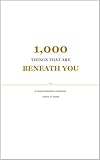  1,000 Things That Are Beneath You (The Absurd Luxury Collection) (English Edition)