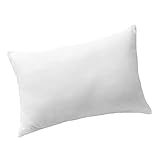 Sobel Westex Dolce Vita Eco 20X30 Queen 28OZ T-233 100% Cotton Pillow, Queen