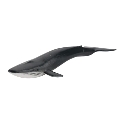 Image of MeadawgsWhale Figurine Home Decor PVC Model Educational Toy for Toddlers Age 3+ Kids Blue Whale|Toys & Hobbies|Action Figures