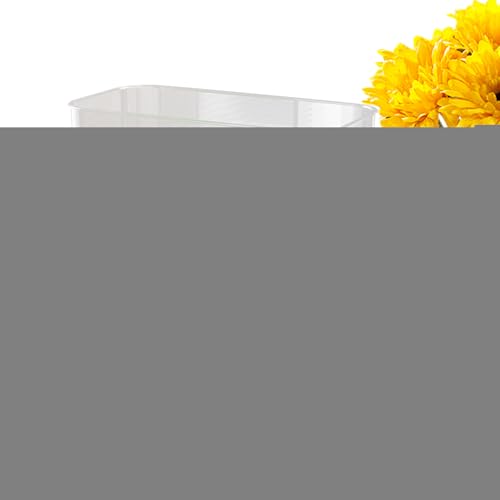 Terrarium pour crabes et grenouilles idéal pour décorer votre bureau - 2