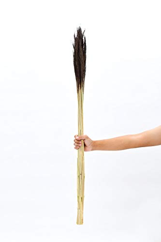 Image of Leewadee Decorative Twigs - Dried and Colored Grass Stems for Vases, Loose Grass for Home and Business Decoration, 47 inches, Brown