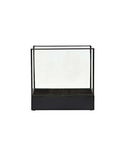 House Doctor Vitrine Plant, Schwarze Antike, L: 21 cm, B: 30 cm, H: 30 cm