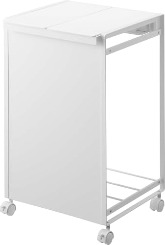 tower �W�t���ډB�����ʃ_�X�g���S�� 2����