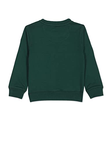 Image of U.S. Polo Assn. Kids Regular fit Cotton Crew Neck Sweatshirts (UKSWSON0104 Green 10-11Y)