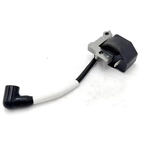Bobina de encendido soluciona fallos en T 611056 611291