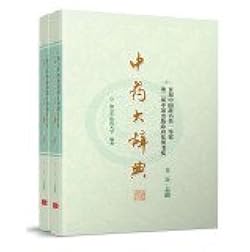 中日医学大辞典　第二版 中日医学大辞典 第二版 医学書院 医学大辞典 第2版