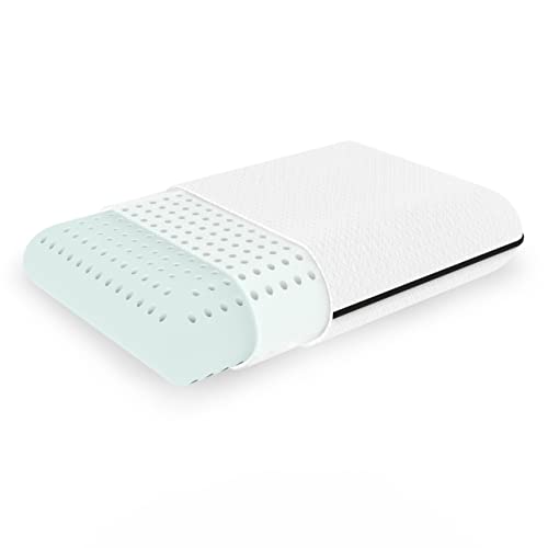 Tbfit Ventilated Memory Foam Pillows for Sleeping, Breathable and Supportive Gel Cooling Pillow, Stomach, Back, Side Sleeper Bed Pillow, Soft Neck Pillows for Pain Relief Sleeping (Queen)