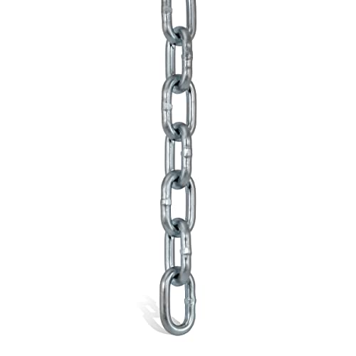 Jensen Swing Products C100SD 0.25 in. Trivalent Coated Chain