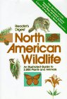 Reader's Digest North American Wildlife
